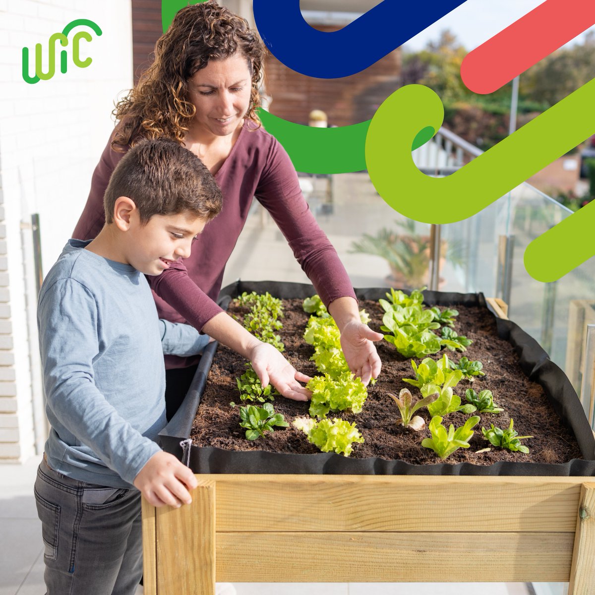 You don't need fancy equipment to grow food. It’s not as complicated as it seems! Start with easy-to-grow plants, and before you know it, you'll be harvesting fresh food. Here’s everything beginner gardeners need to know from @usdagov: nal.usda.gov/plant-producti… #HealthierNJ