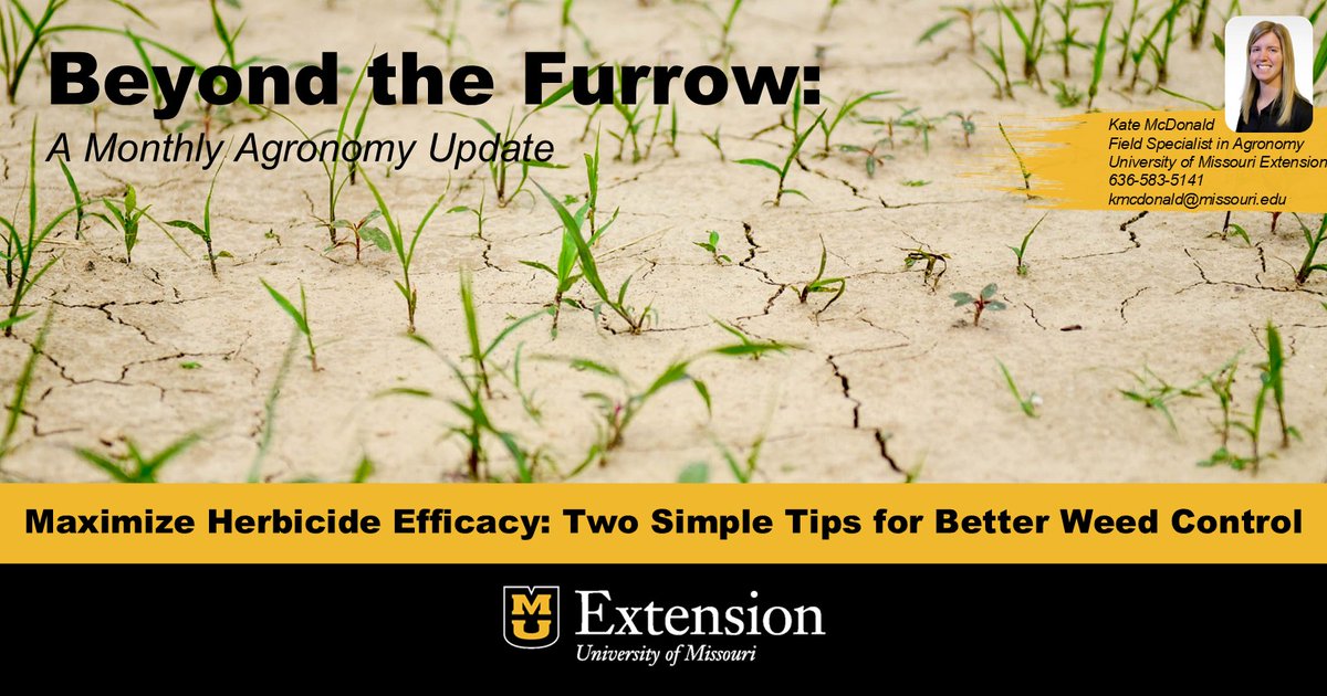 Stop waiting for your weeds to worsen. They can quickly become your plants' biggest nutrient thieves! Have questions about herbicide and weed control? Just contact Kate!

Kate McDonald
Extension Field Specialist in Agronomy
636-583-5141
kmcdonald@missouri.edu

#ExtendMU
