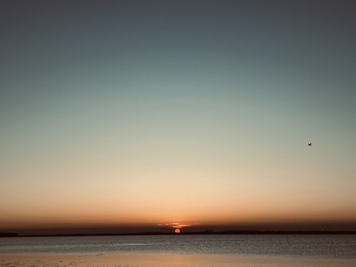 Reshinth tweet media