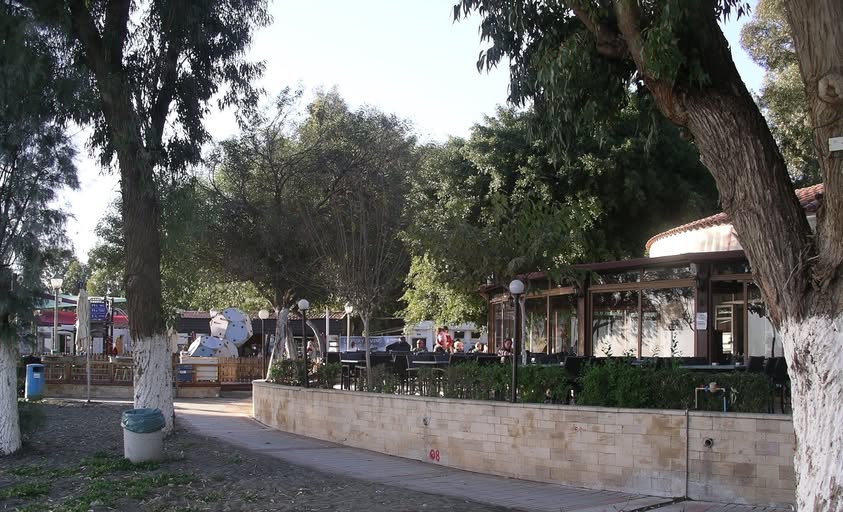Mensa Cyprus tweet media