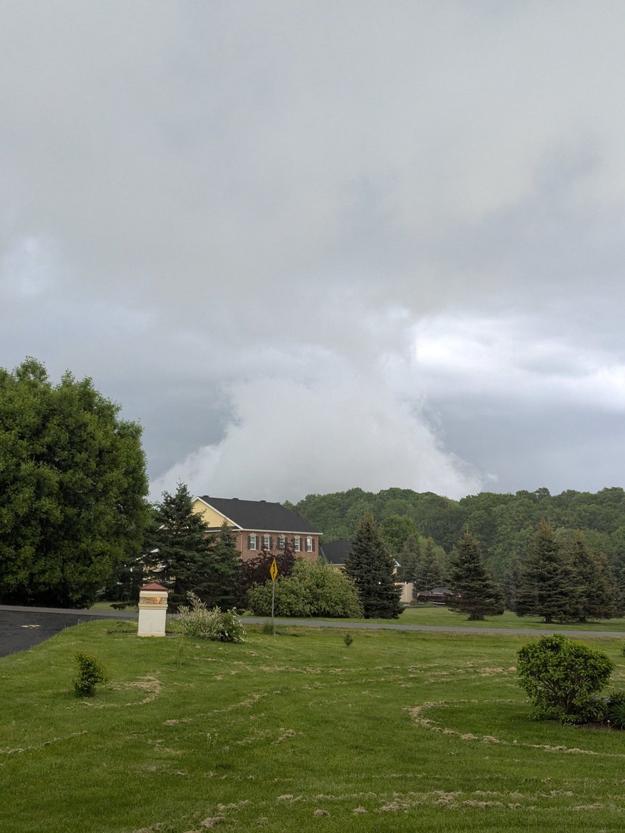 MexicanJ tweet media