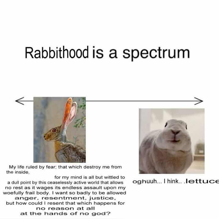 bunnyluvr__'s tweet photo. Personally I'm "Oughhh..." https://t.co/KOae3Gl3Wm