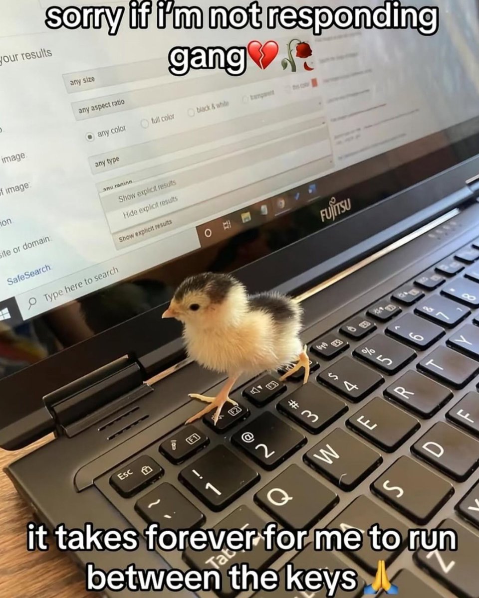 Internet Slop (@gimmickslop) on Twitter photo 