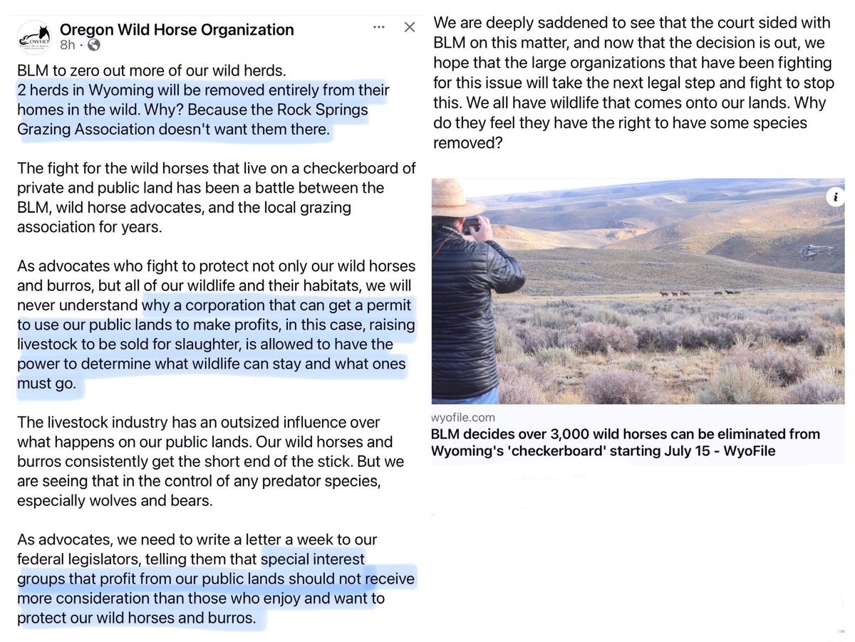 Blueequus775's tweet image. Grazing is PRIVILEGE, not a right and yet these ranchers are calling the shots and BLM who is tasked with protecting wild horses goes along with it. #RegulatoryCapture 

wyofile.com/blm-decides-ov…