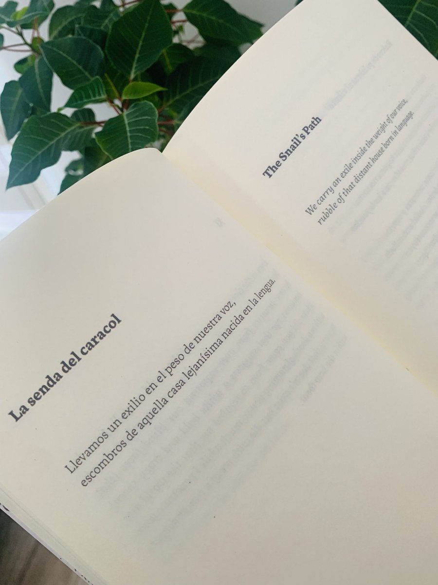 FunambuloL's tweet image. Dispersonal, de Sergio Pérez Torres, es la primera coedición en la que participamos, y sirva este post para recordarles que ya pueden hacer su preventa a precio especial, ya que en unos días este librazo entra a imprenta 🙌😊

funambulolibreria.com/producto/preve…