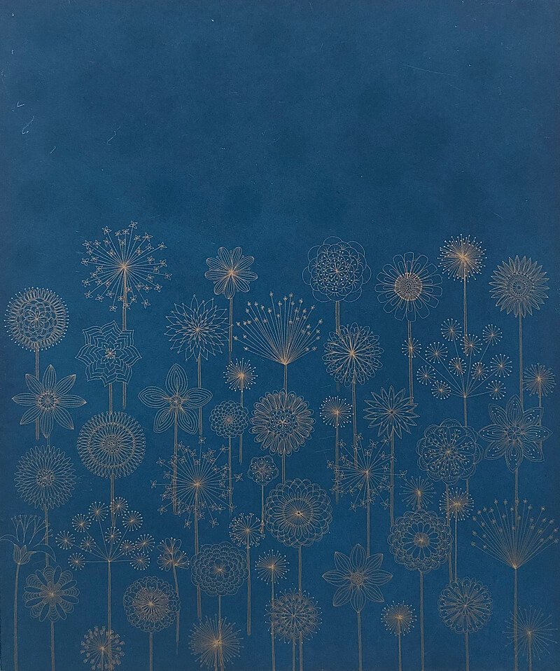 Yoko Akino – Donn’s Garden 
etching &amp; aquatint
