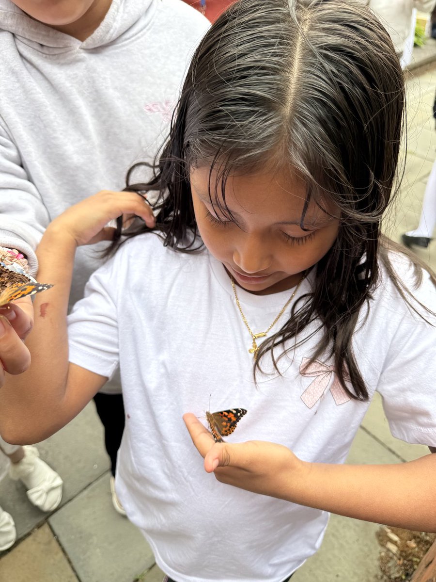 Ms_Glassberg's tweet photo. Beautiful Butterflies 🦋
Thank you Mrs Marquez and Mrs Badurskey for this special moment ⁦@AnaBudds⁩ ⁦@MicenisG⁩ ⁦@PeekskillCSD⁩ #oakside https://t.co/ttCygCBbec