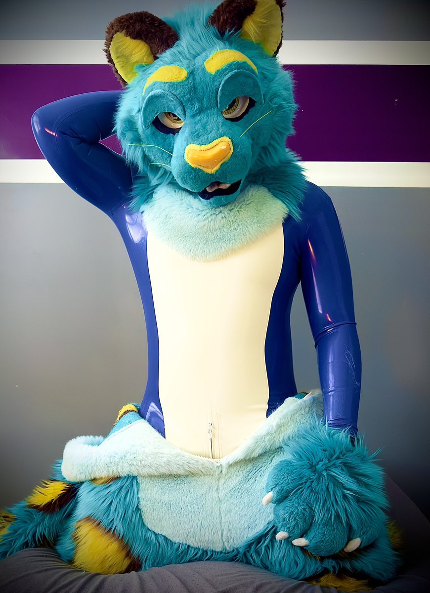 Fluffy vs shiny💙💛
#FursuitFriday