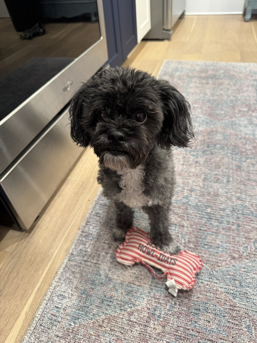 Lori Shortis (@msshortis) on Twitter photo Baxter has his bone and wanted to tell you to kick butt! <a href="/jessica69626887/">jessica Wooten</a> <a href="/JacksonWooten04/">Jackson Wooten</a> <a href="/AHS_6aBaseball/">Atascocita Baseball</a> Baxter has his bone and wanted to tell you to kick butt! <a href="/jessica69626887/">jessica Wooten</a> <a href="/JacksonWooten04/">Jackson Wooten</a> <a href="/AHS_6aBaseball/">Atascocita Baseball</a>