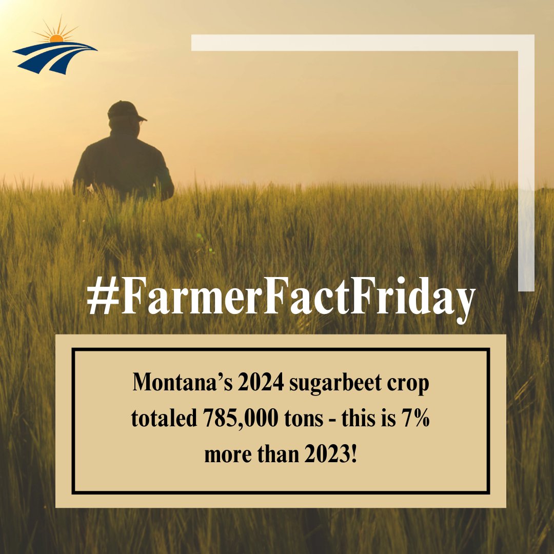 𝐃𝐢𝐝 𝐘𝐨𝐮 𝐊𝐧𝐨𝐰? Montana’s 2024 sugarbeet crop totaled 785,000 tons - this is 7% more than 2023!