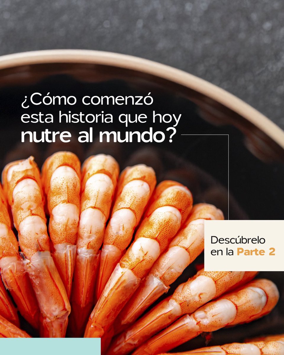 🦐 Todo tiene un comienzo, y el de esta industria empieza hace más de 55 años.
Antes del reconocimiento global, hubo un momento decisivo con el camarón P. vannamei.

👉 Desliza y descubre cómo todo esto comenzó.

 📌 Conoce esto y mucho más, muy pronto en la Parte 2.