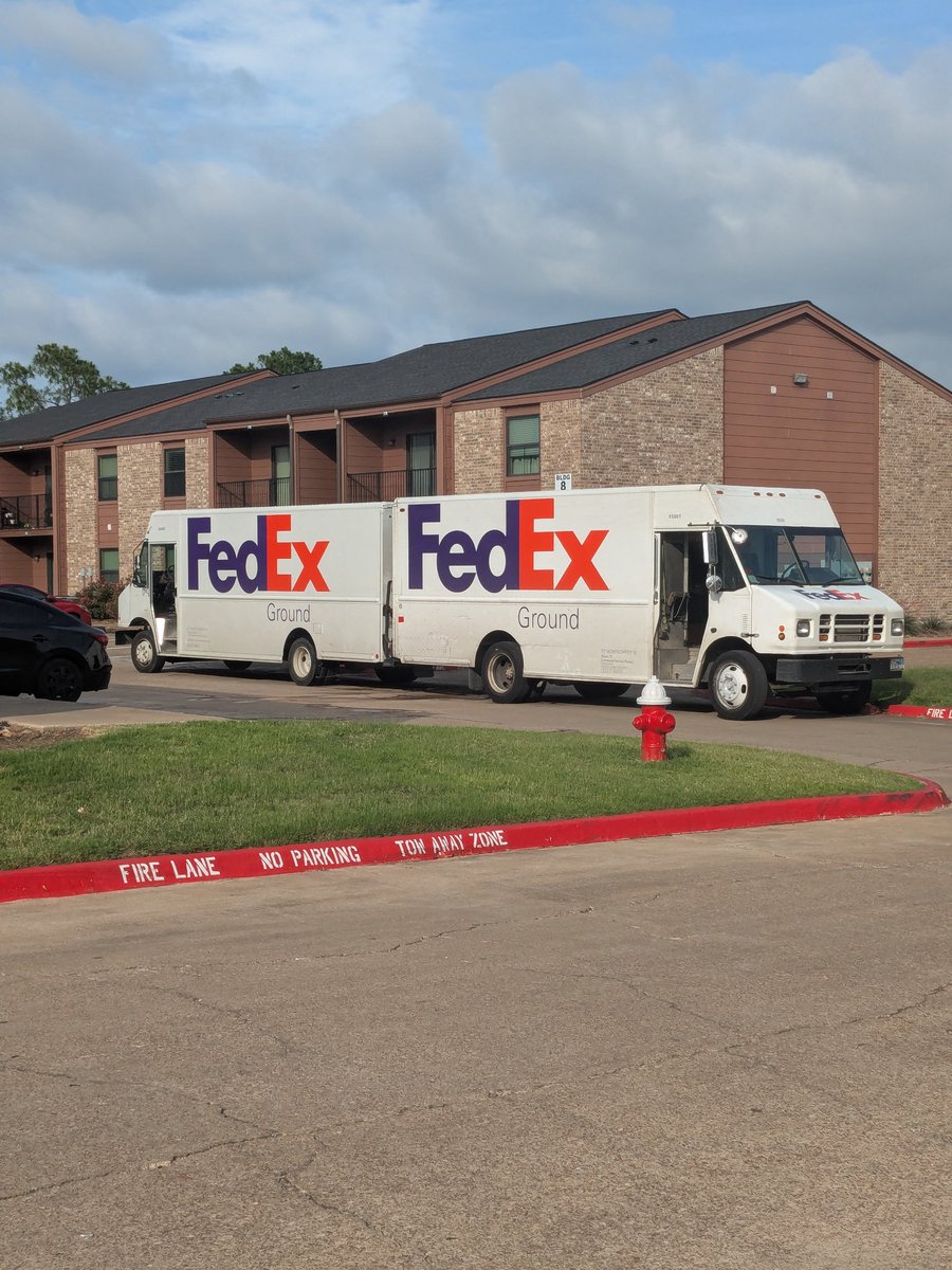 Huh, never seen 2 FedEx trucks mating before. I feel like David Attenborough out here.