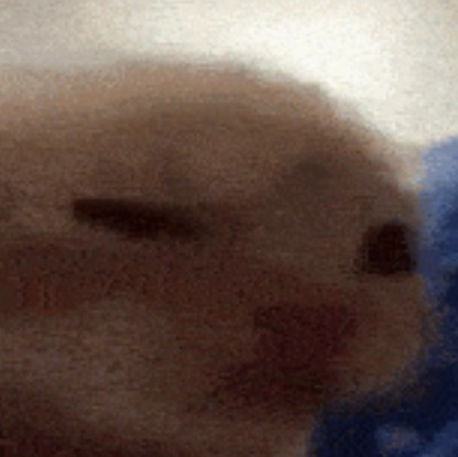 ᅠᅠ𝓣. (@pearlscrying) on Twitter photo 