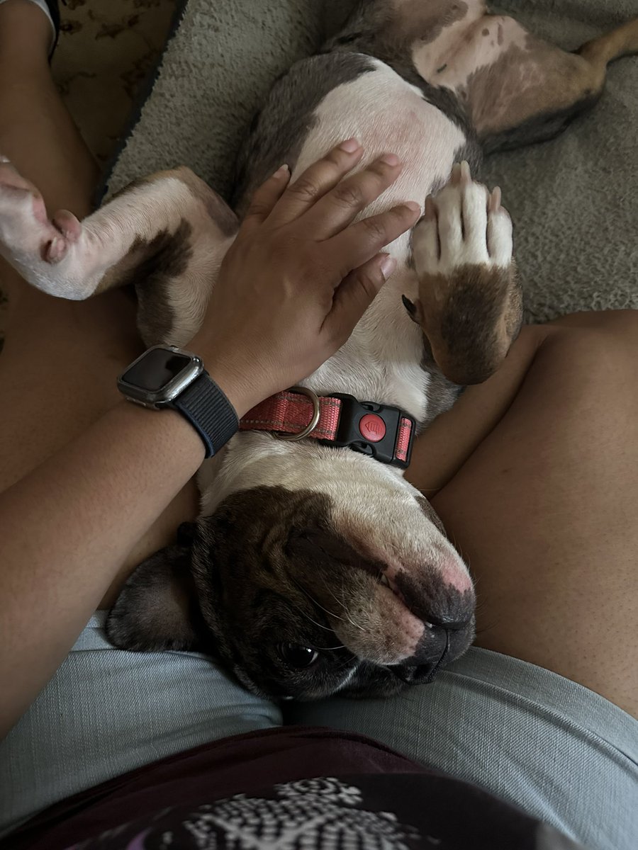 Marisa | “the ambassador for romance novels” tweet media