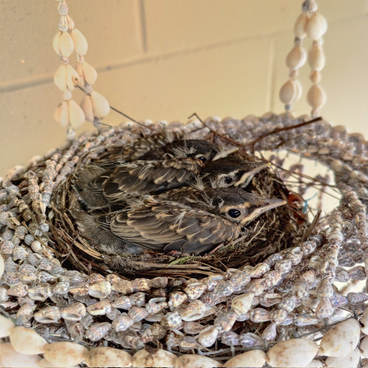 They're growing up so quickly 😍