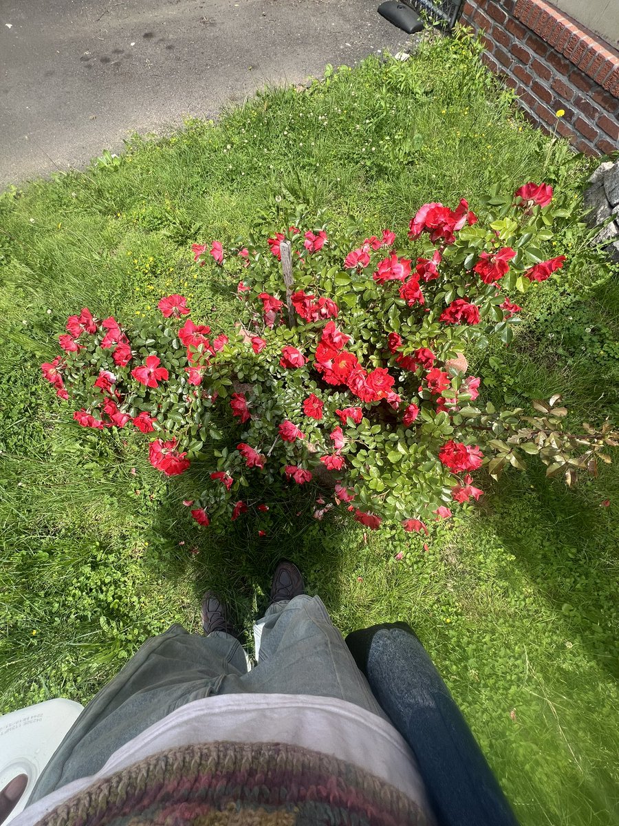 hey yall, i grew this little one