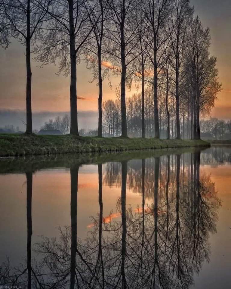 Francisco Ribeiro (@fraveris) on Twitter photo 