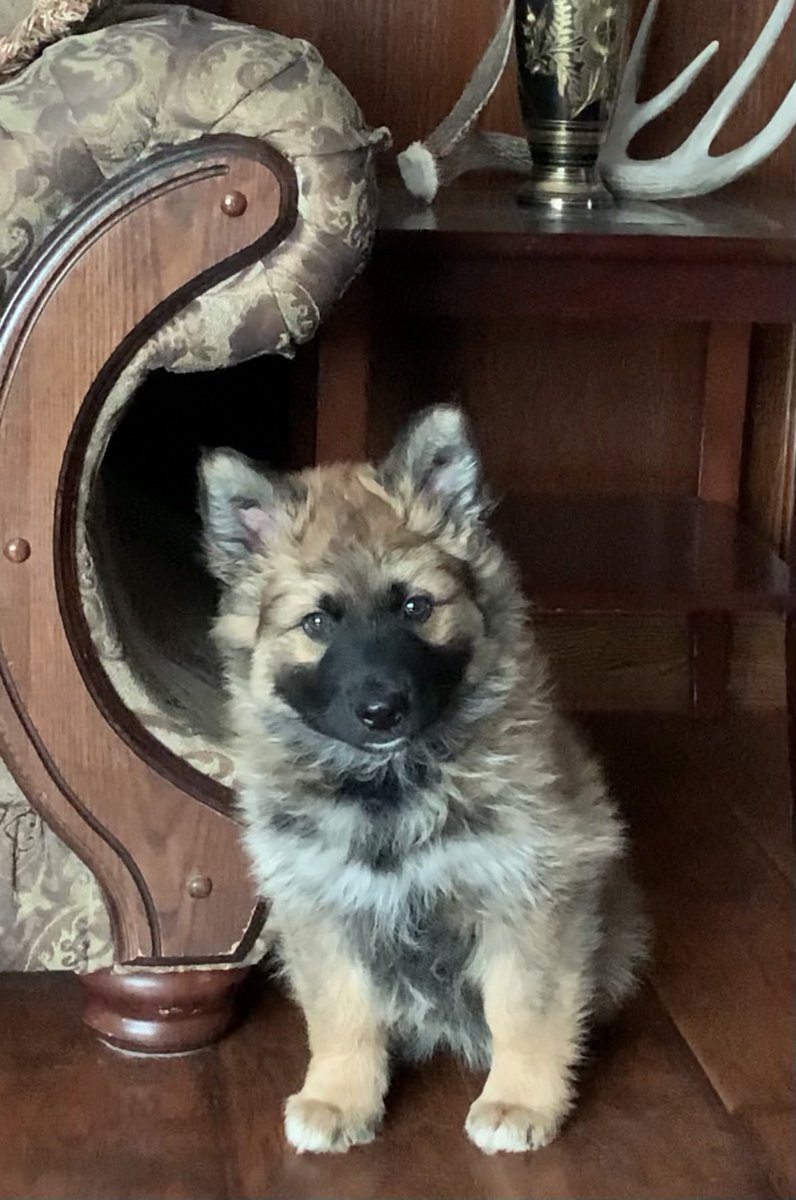 Judy Pedersen (@judypedersen1) on Twitter photo 