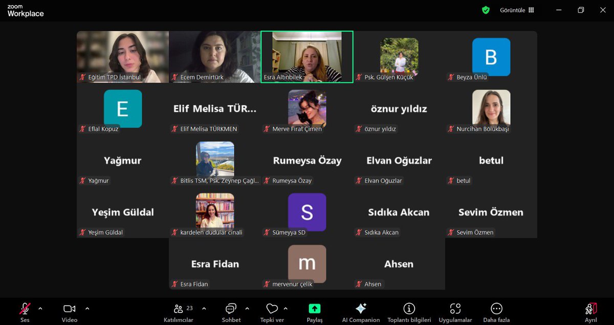 Adolescence dizisini incelediğimiz bu çalışmamızda  bölümler ayrı ayrı analiz edilmiş ve kavramlar; Winnicott, Duncan Cartwright, Klein’nın iyi nesne–kötü nesne kuramı ve Bion’un beta unsurları üzerinden incelenmiştir. Klinik Psikolog Esra Altınbilek’e teşekkürlerimizi sunarız.