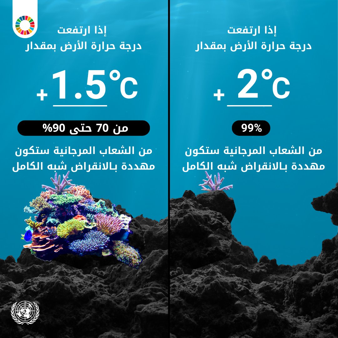 تشغل الشعاب المرجانية أقل من 1%  من قيعان البحار... بيْد أنها موطنٌ لأكثر من 25% من الحياة البحرية.

يتسبّب النشاط البشري وزيادة احترار كوكب الأرض في تدهور هذه النُّظم الإيكولوجية الثمينة والهشّة بسرعة

المزيد في يوم الشعاب المرجانية

unep.org/interactives/s…