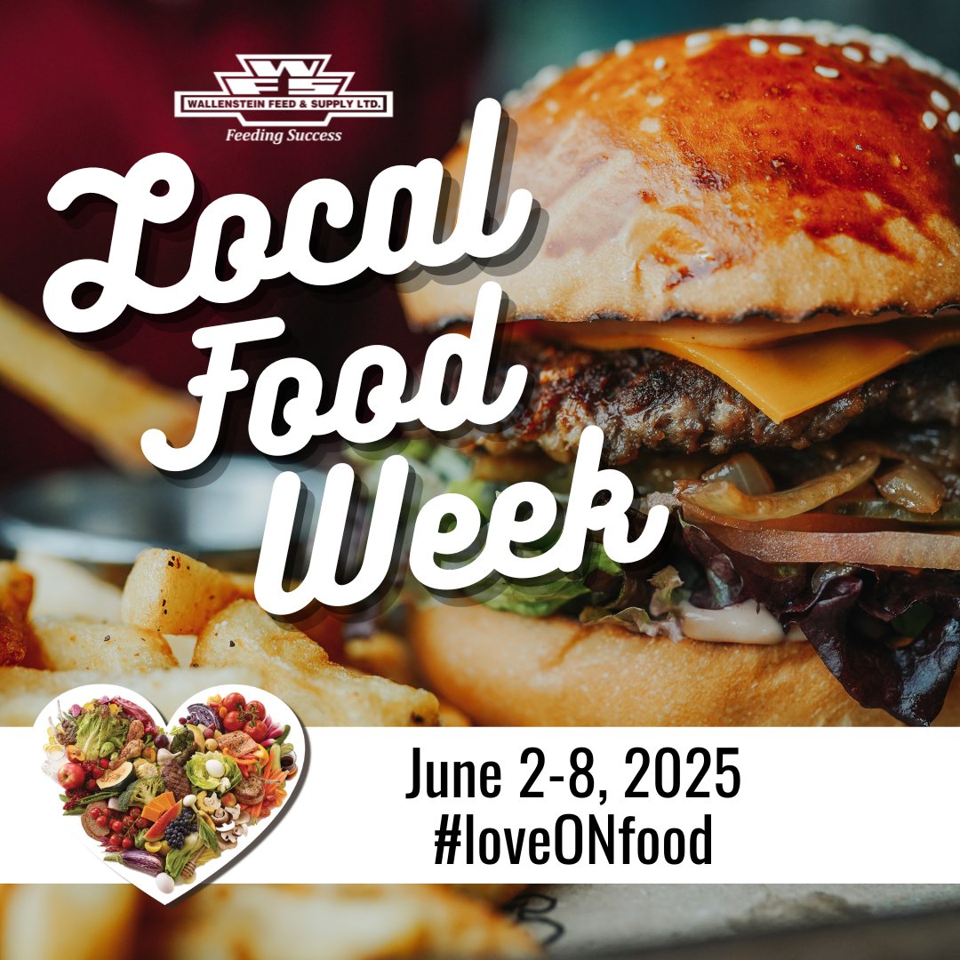 🌽🥚🍓 Local Food Week kicks off today — June 2–8! 🐄🍔🍎

Join us in celebrating the amazing food grown, produced, and processed right here in Ontario. A big thank you to the farmers who make it all possible! 💚

Show your local love with #loveONfood!