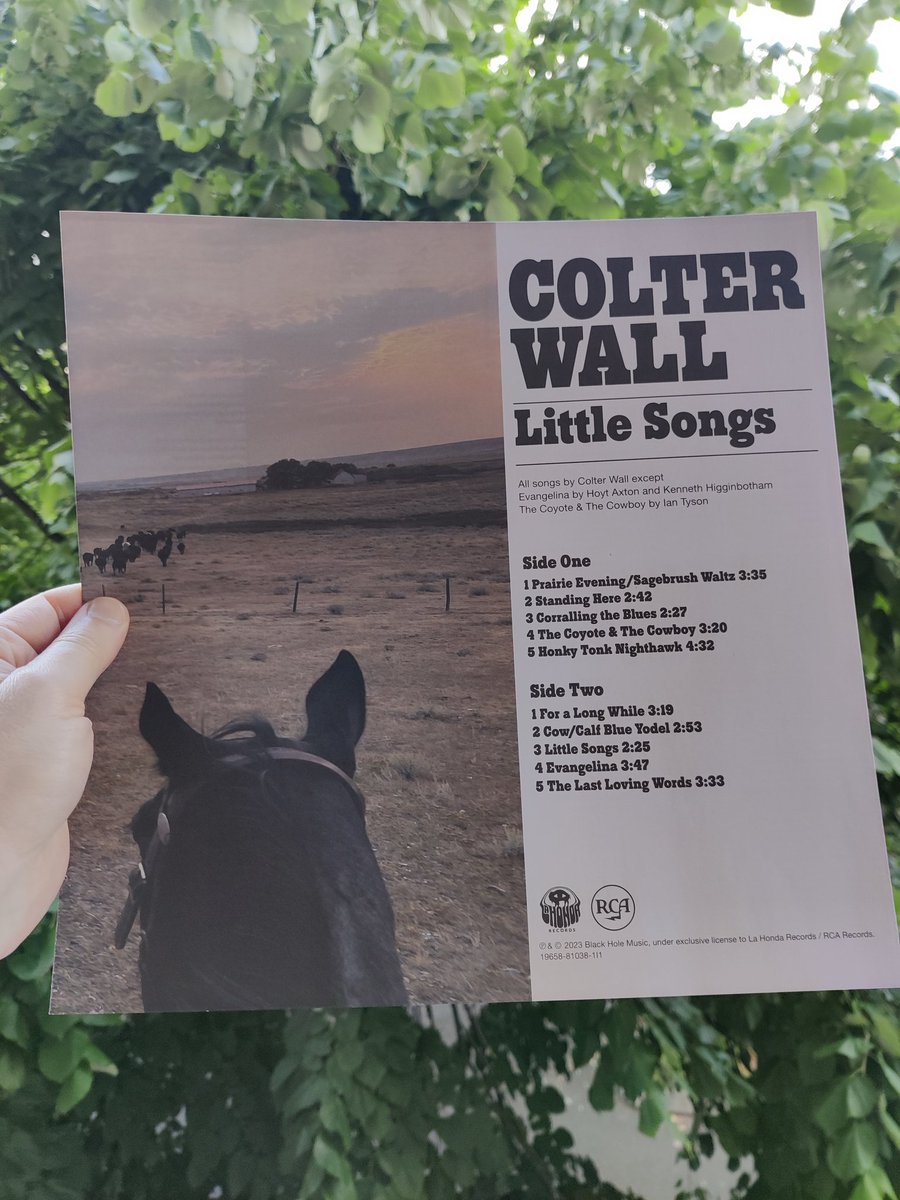 Great find today, at my record store:  Colter Wall's beautiful LP, "Little Songs". One of the best albums of 2023. Nice blue vinyl version!