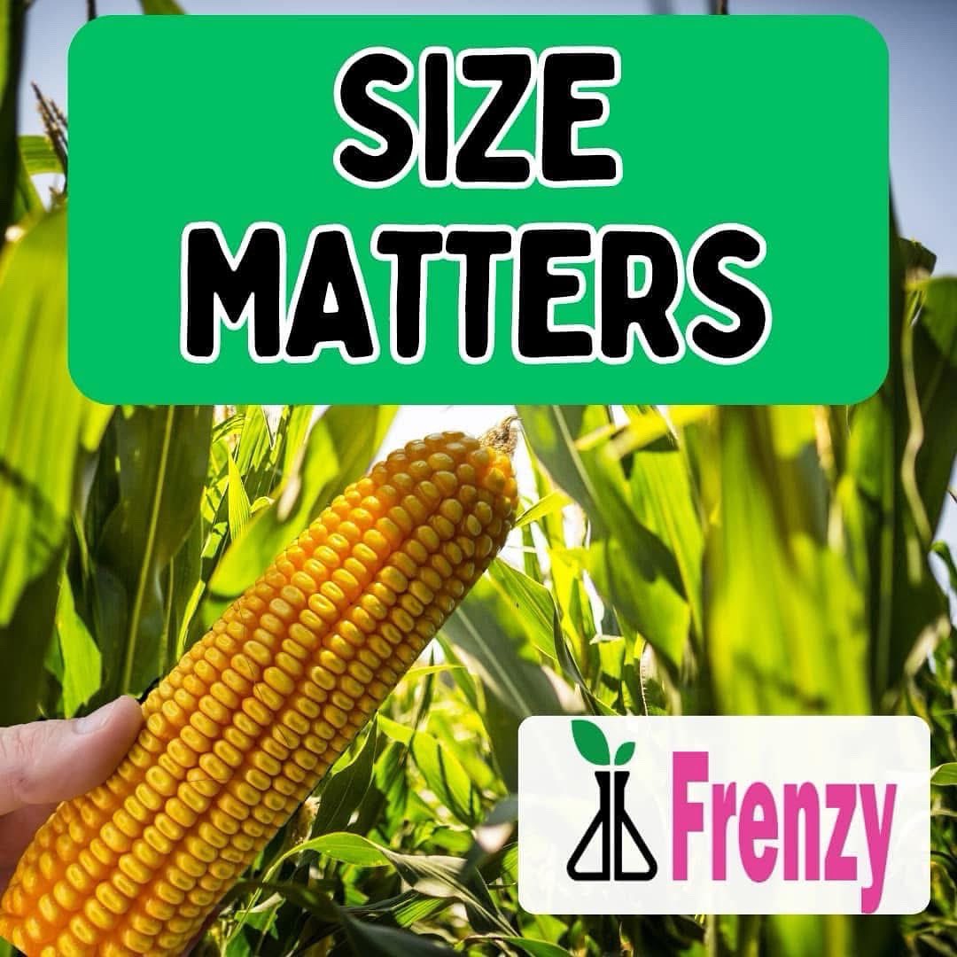 Size Matters!

Stress reduces yield long before you can see it! 

Apply Frenzy to make it bigger around and longer ears 🌽 

#dakotabio