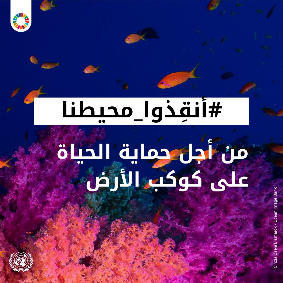 من أجل حماية الحياة على كوكب الأرض

#أنقذوا_محيطنا

sdgs.un.org/ar/conferences…