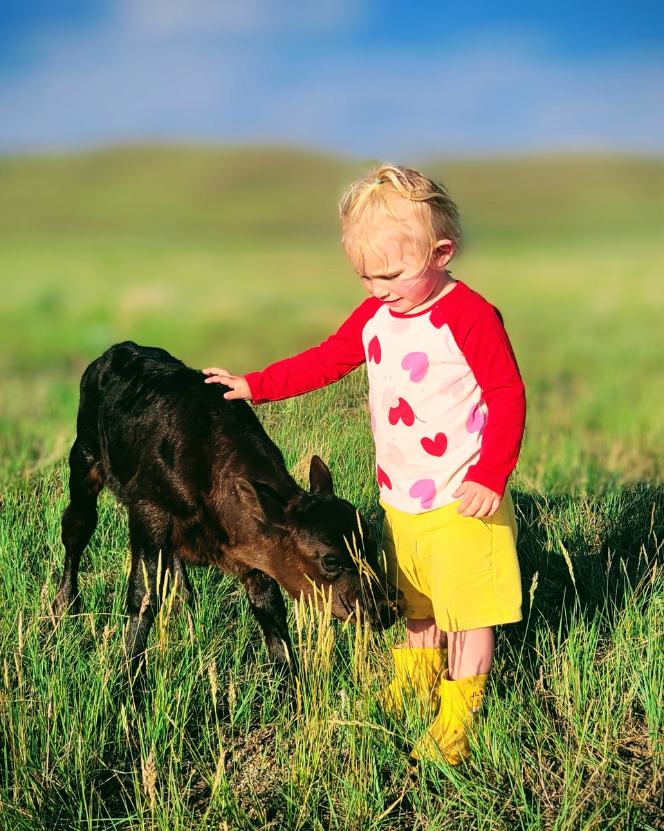 What’s the difference between soil health and regenerative agriculture? 

What does it mean to “be regenerative”? 

In our most recent podcast episode, Keith and John Kempf discuss what regenerative agriculture really means when we zoom out from practices and start to think about