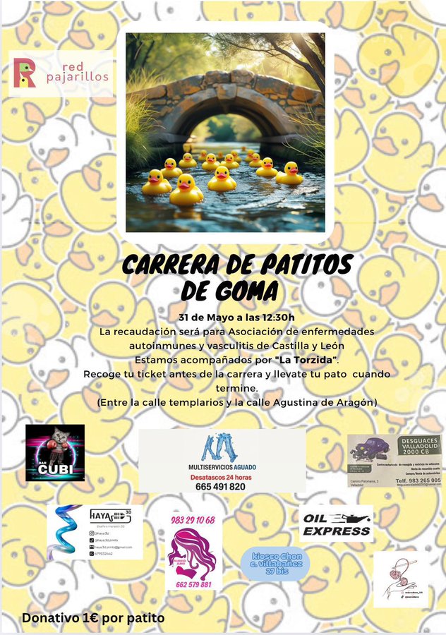 Aprovechando el caudal...nuestros patitos solidarios ya están entrenando para su gran día! Acompáñanos con @la_torzida  y colabora con la Asociación de enfermedsdes autoinmunes y vasculitis ( entidad que recibirá la recaudación). Y después...paellada vecinal!