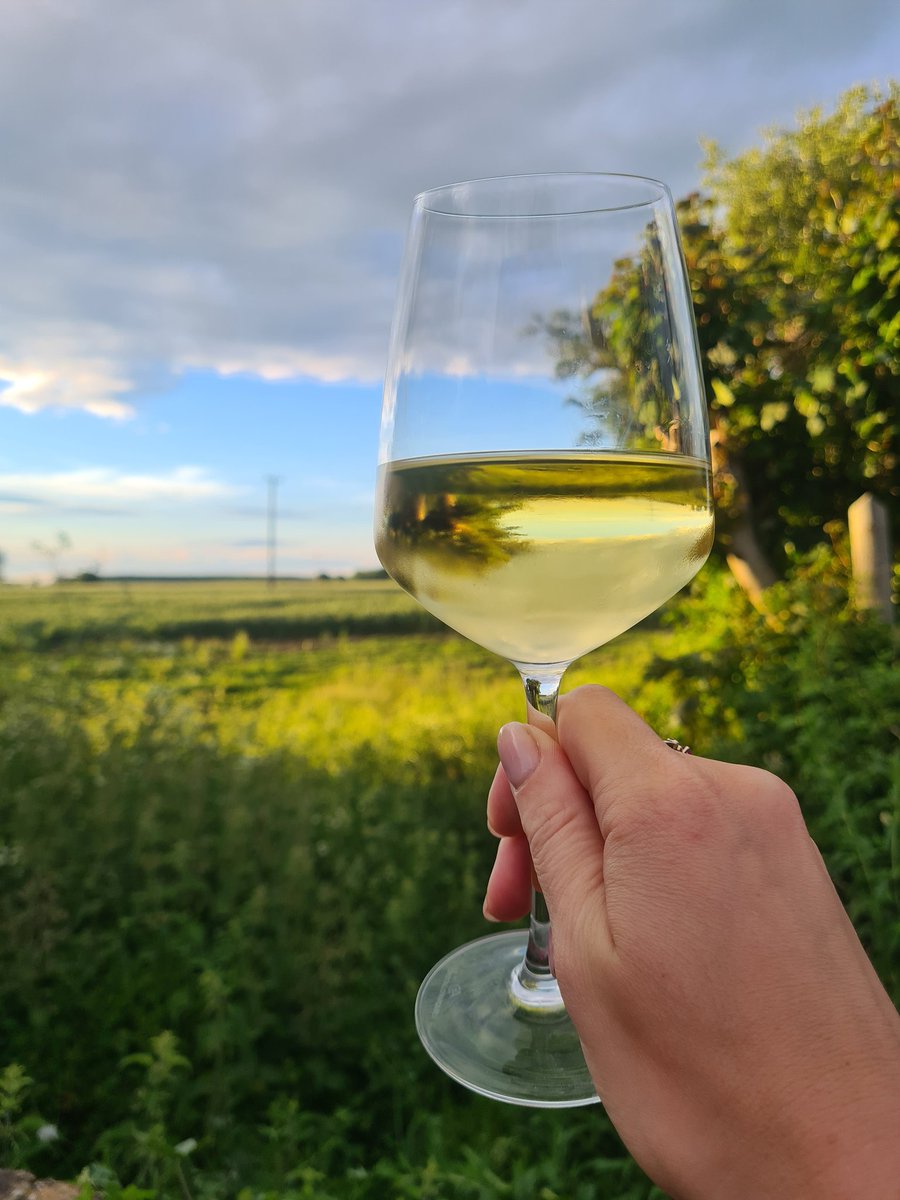 It’s #EnglishWineWeek, and Emma and Amy are really looking forward to a tour of the Rutland Vineyard with the Oundle Agricultural Discussion Society in June! We’re pleased to do our bit to support English viticulture! #englishwine #englishviticulture #grapevines