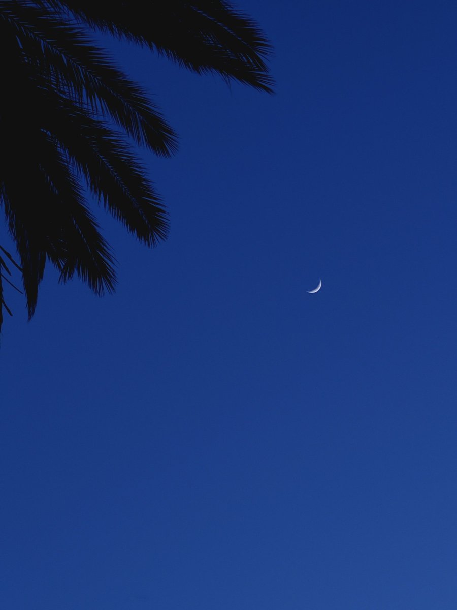 Crec que Porto una birra de més