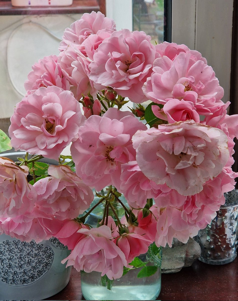 eve1231_'s tweet photo. #Hello #GardenersWorld
#cutflowers in the kitchen
#Flowerhunter https://t.co/9MeJqo1g6a