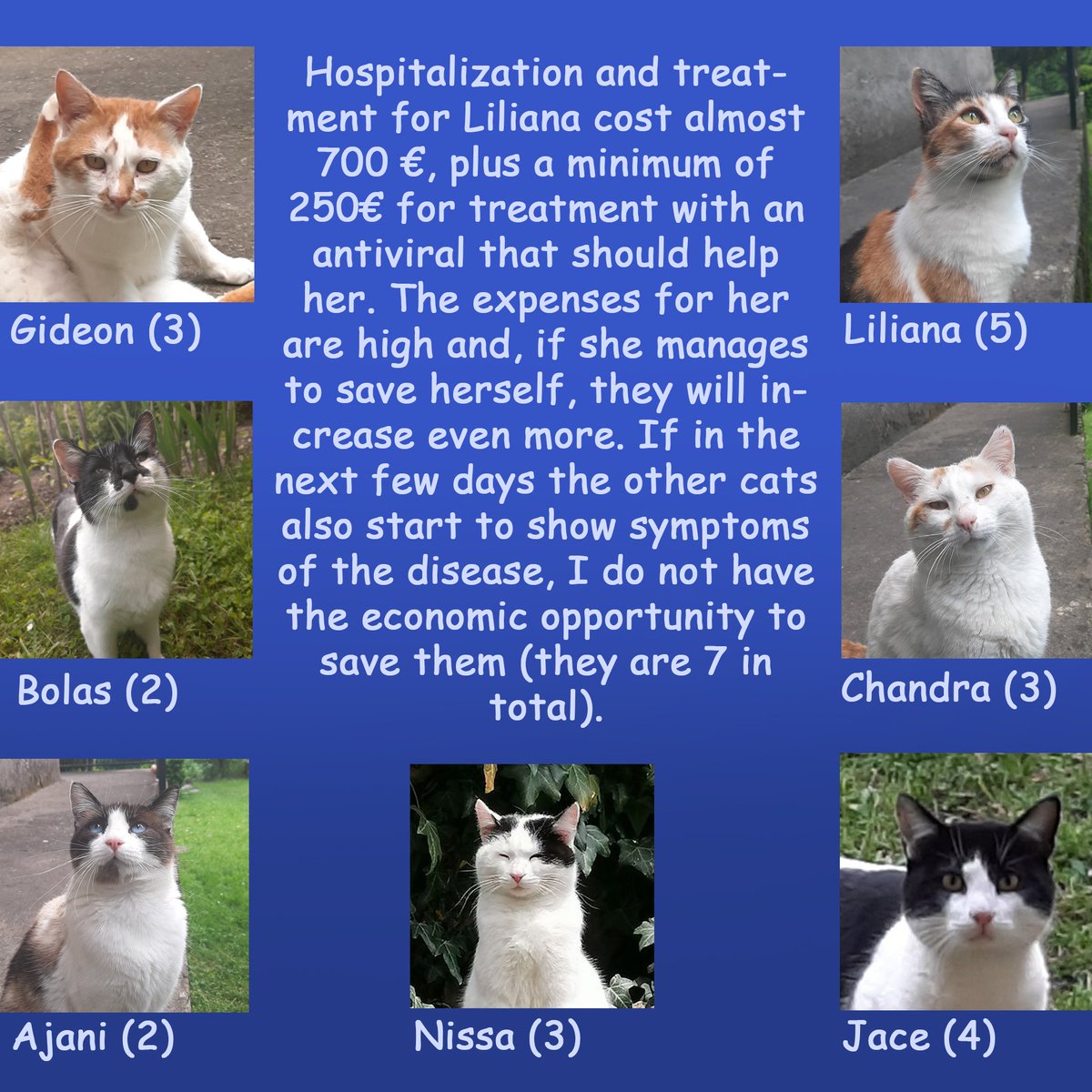 Martina Montrasi tweet media