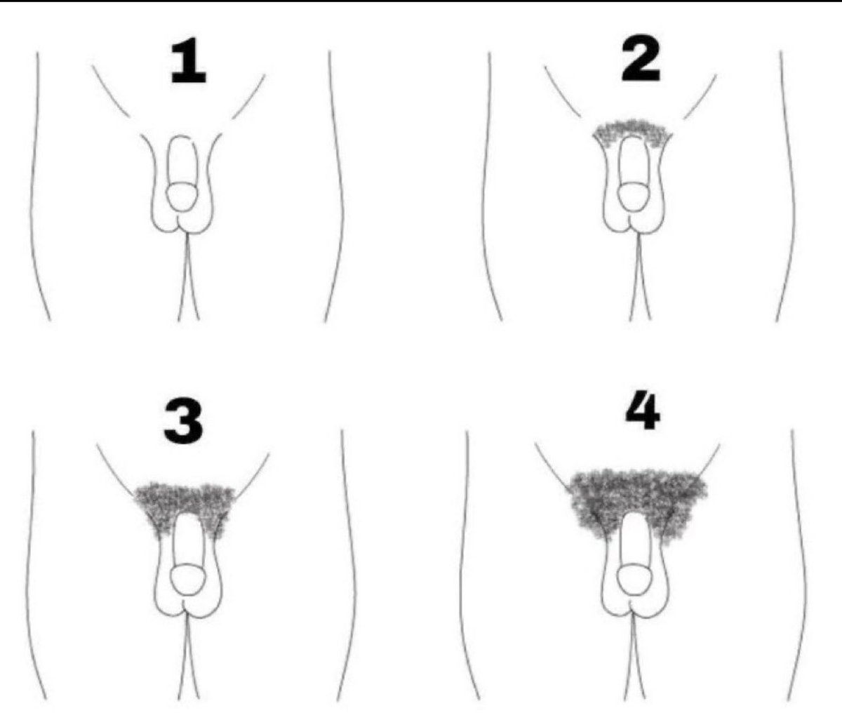 PUBES CHECK IN: What number are you currently?