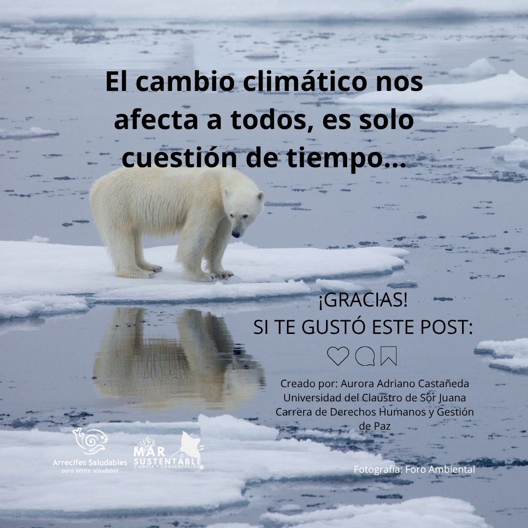 El #CambioClimático está destruyendo el #ArrecifeMesoamericano. 🌎¡Exigimos justicia climática ya! Que se aborden las causas raíz y se tomen acciones legales. #JusticiaClimática #Arrecifes
<a href="/MarSustentable/">Mar Sustentable Ciencia y Conservación</a>