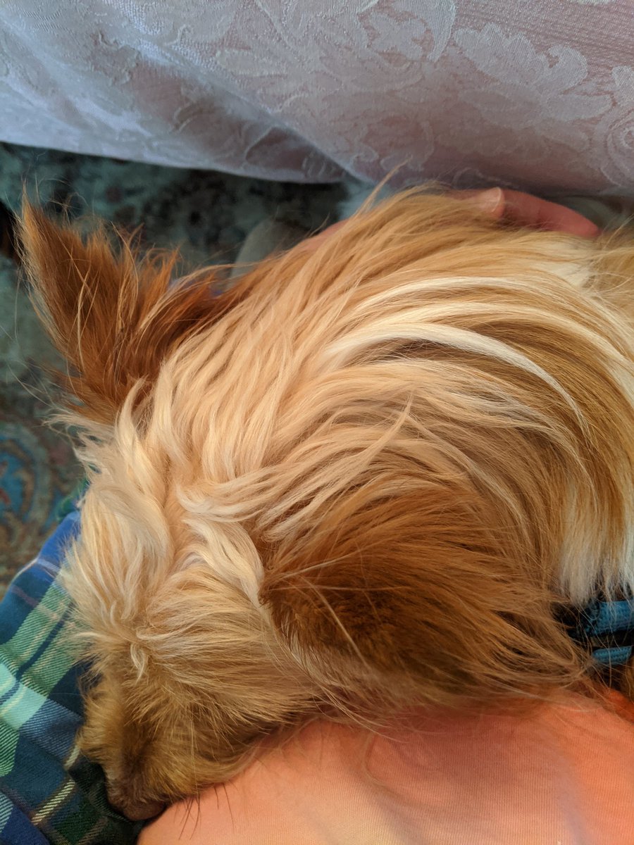 Some friends 🙄 you give 'em a hand, then they don't let you have it back