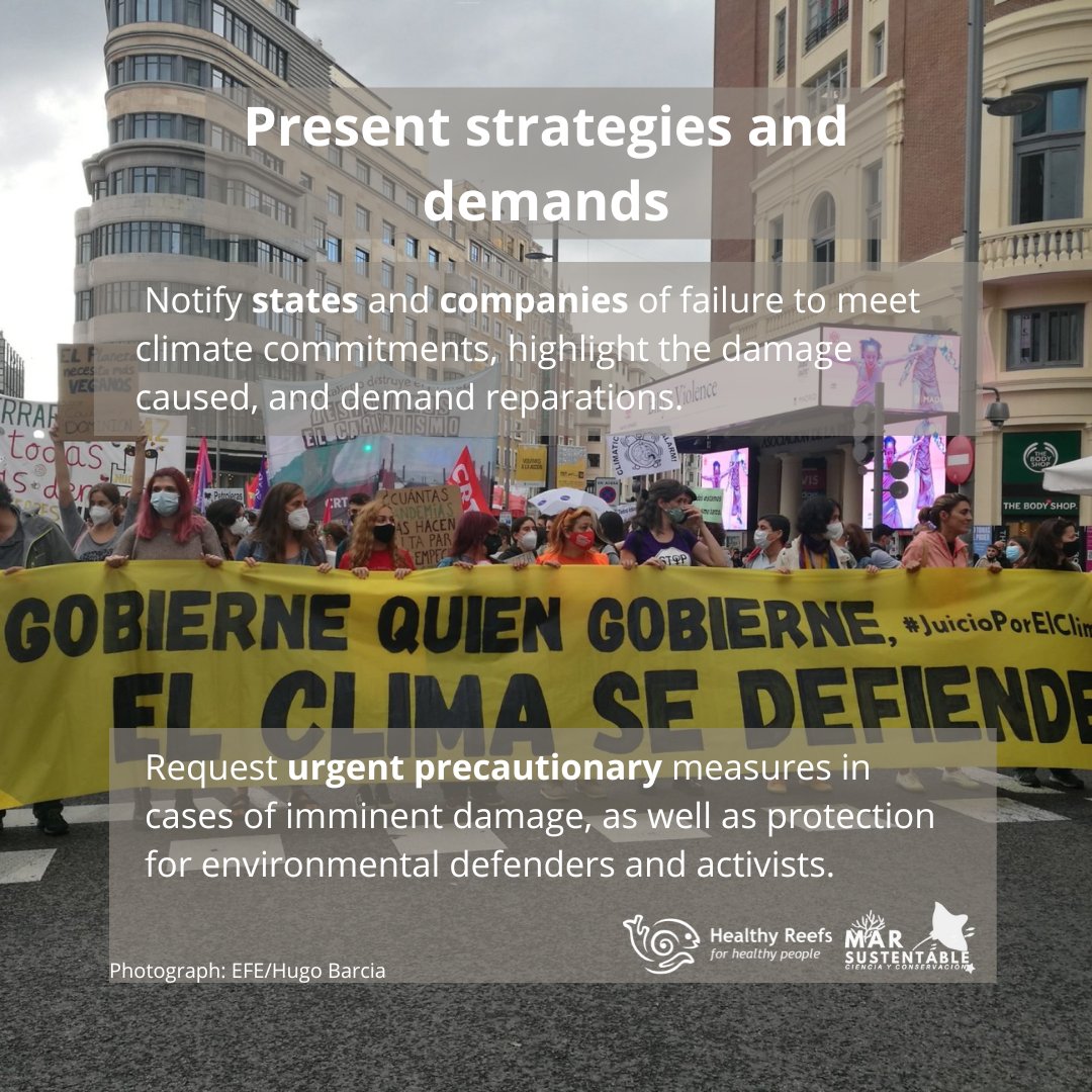 #ClimateChange is destroying the #MesoamericanReef. 🌎
We demand climate justice now—address root causes and hold polluters accountable! #ClimateJustice #CoralReefs 
<a href="/MarSustentable/">Mar Sustentable Ciencia y Conservación</a>