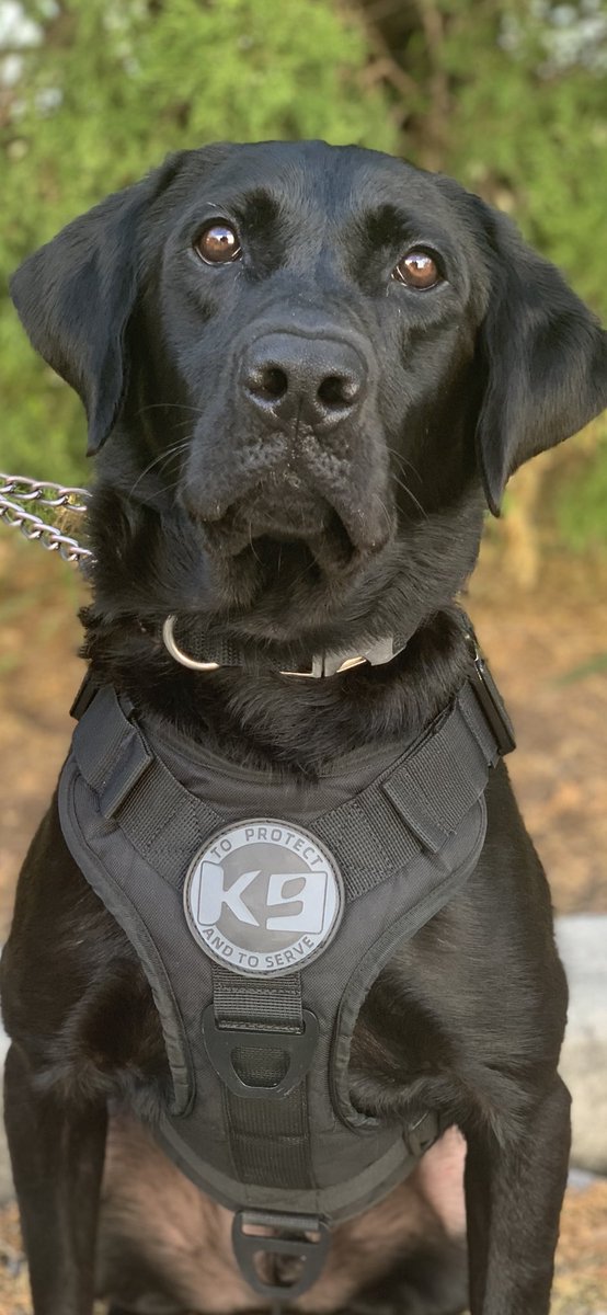 <a href="/realannapaulina/">Anna Paulina Luna</a> Don’t forget about us here at the best airport in the nation TIAPD Strong!