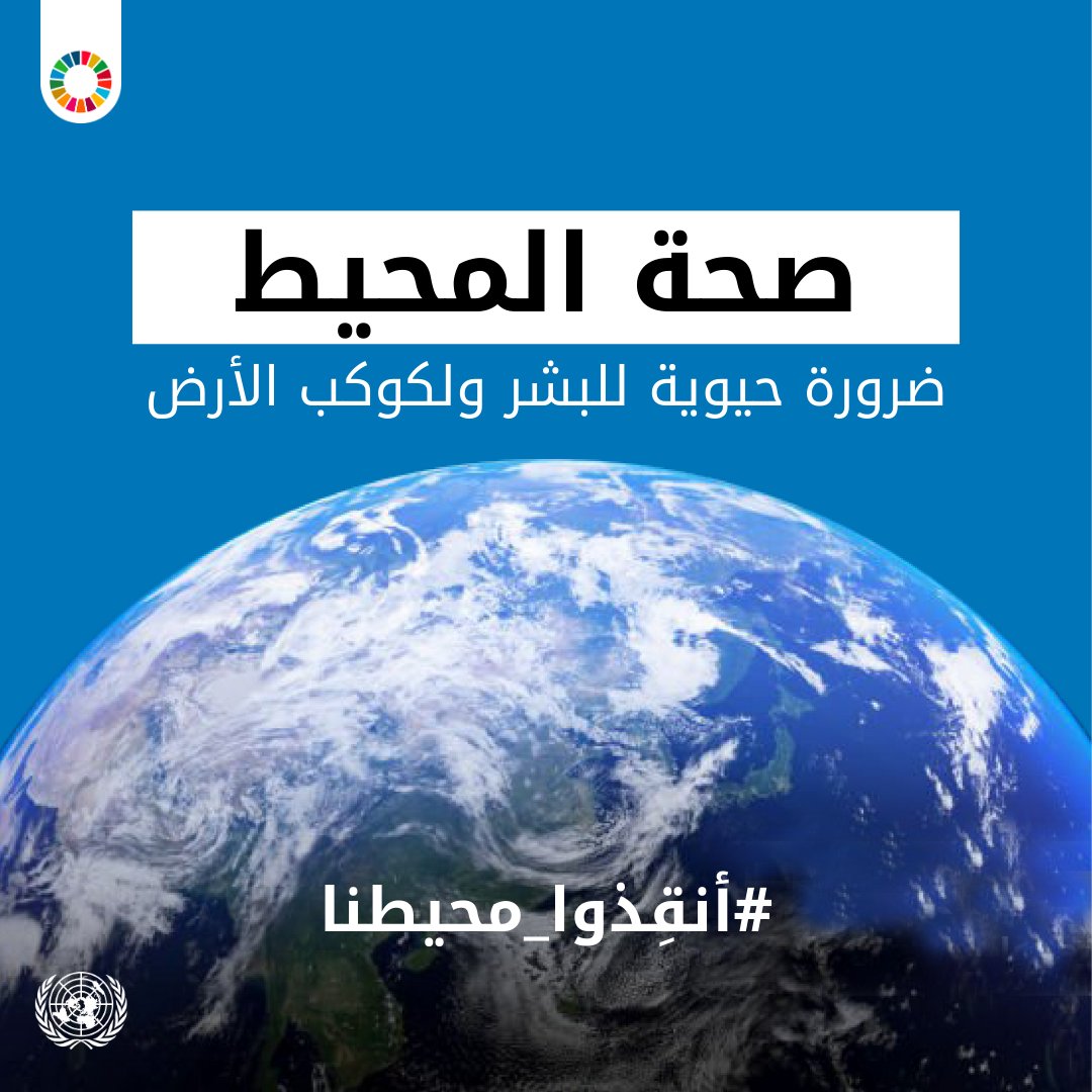 المحيط 👇

🌊 يغطي أكثر من %70 من الأرض
🐠 موطن لـ %80 من الحياة
💨 يولد %50 من الأكسجين الذي نحتاجه

#انقذوا_محيطنا