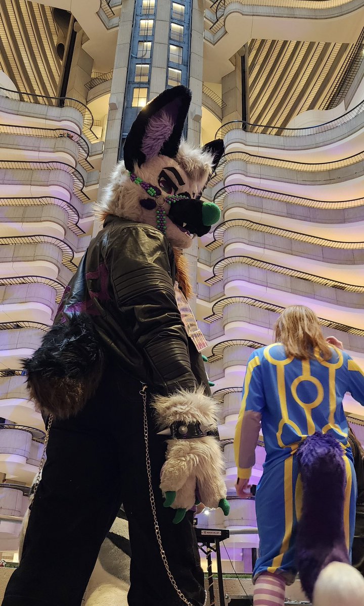 Happy Fursuit Friday 💜🖤💚 With Tavi pics from FWA! 
#fursuitfriday #FWA #FWA2025 #Furryweekendatlanta #furry #fursuit #tavithefruitbat #furryfandom
