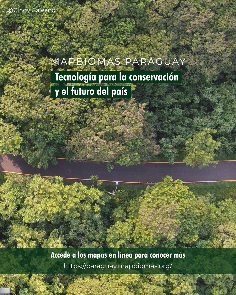 🌱 ¿Cómo cambia el territorio paraguayo cada año?
Con MapBiomas Paraguay, podés ver la transformación del suelo con datos abiertos y mapas satelitales.

🛰️ Más de 30 años de imágenes para entender y proteger nuestros ecosistemas.

👉 Explorá los mapas en: paraguay.mapbiomas.org