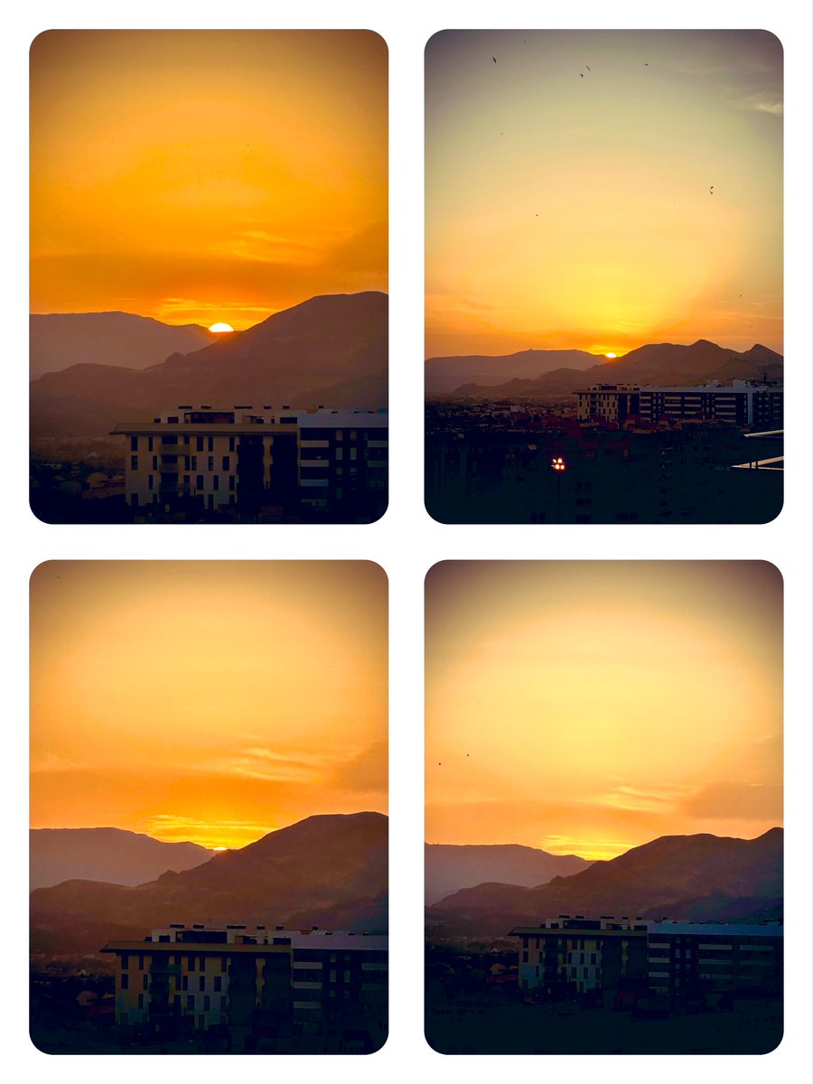 Óscar Rosales ۞ (@fisiorosales) on Twitter photo He visto atardecer desde mi terraza escuchando a <a href="/soyRayden/">R A Y D E N</a> y he llorado con esta parte:
Que no hay dolor ni error que no enriquezca
Como la piedra con la que tropiezas y repites
Por eso pide que te quieran cuando menos lo merezcas
Posiblemente sea cuando más lo necesites..❤️❤️ He visto atardecer desde mi terraza escuchando a <a href="/soyRayden/">R A Y D E N</a> y he llorado con esta parte:
Que no hay dolor ni error que no enriquezca
Como la piedra con la que tropiezas y repites
Por eso pide que te quieran cuando menos lo merezcas
Posiblemente sea cuando más lo necesites..❤️❤️