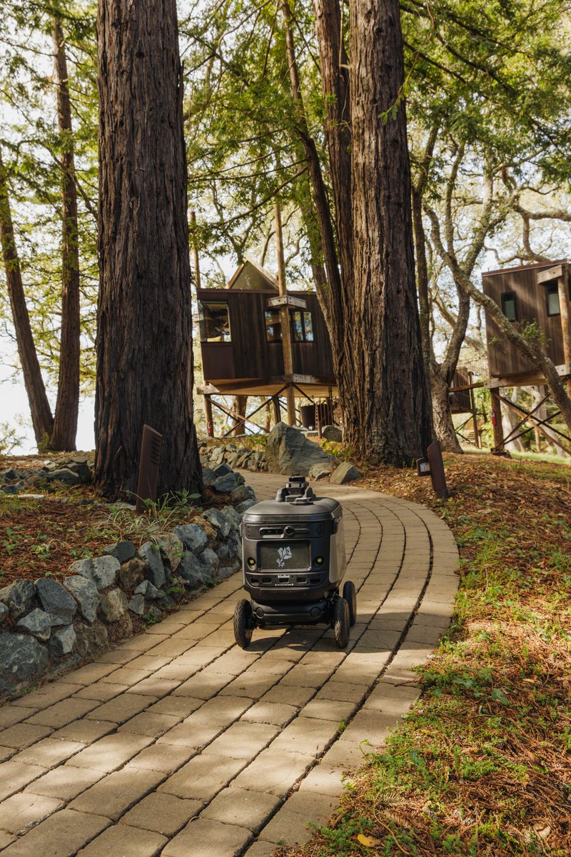 gokiwibot's tweet image. Our robots engage guests, gathering insights and data that clients access instantly to optimize strategies and connect more effectively with their audience.

Turning data into meaningful brand experiences 🤖✨

@LancomeUSA  @nickelytics #Kiwibot #HumanRobotInteraction #Robot