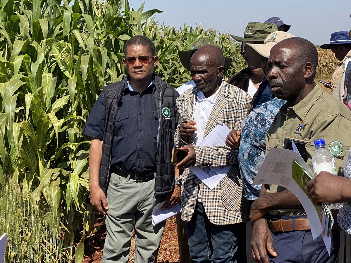 Research Symposium concludes: Zimbabwe's agricultural sector is moving forward! 🌾 ARISS &amp; Agricultural Research Council showcase latest innovations in precision farming, crop breeding &amp; conservation agriculture. Let's collaborate for a food-secure future! #FoodSecurity