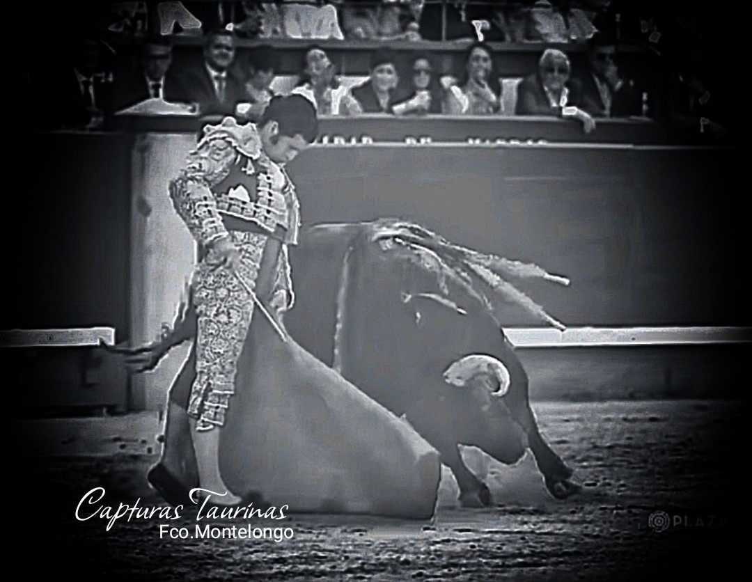 FRANCISCO MONTELONGO (@ellentedemonte) on Twitter photo 