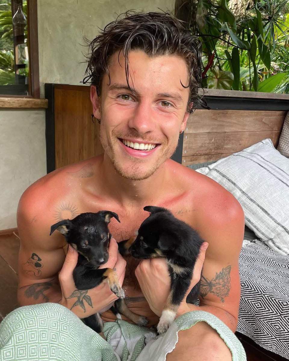 Shawn Mendes Fans tweet media