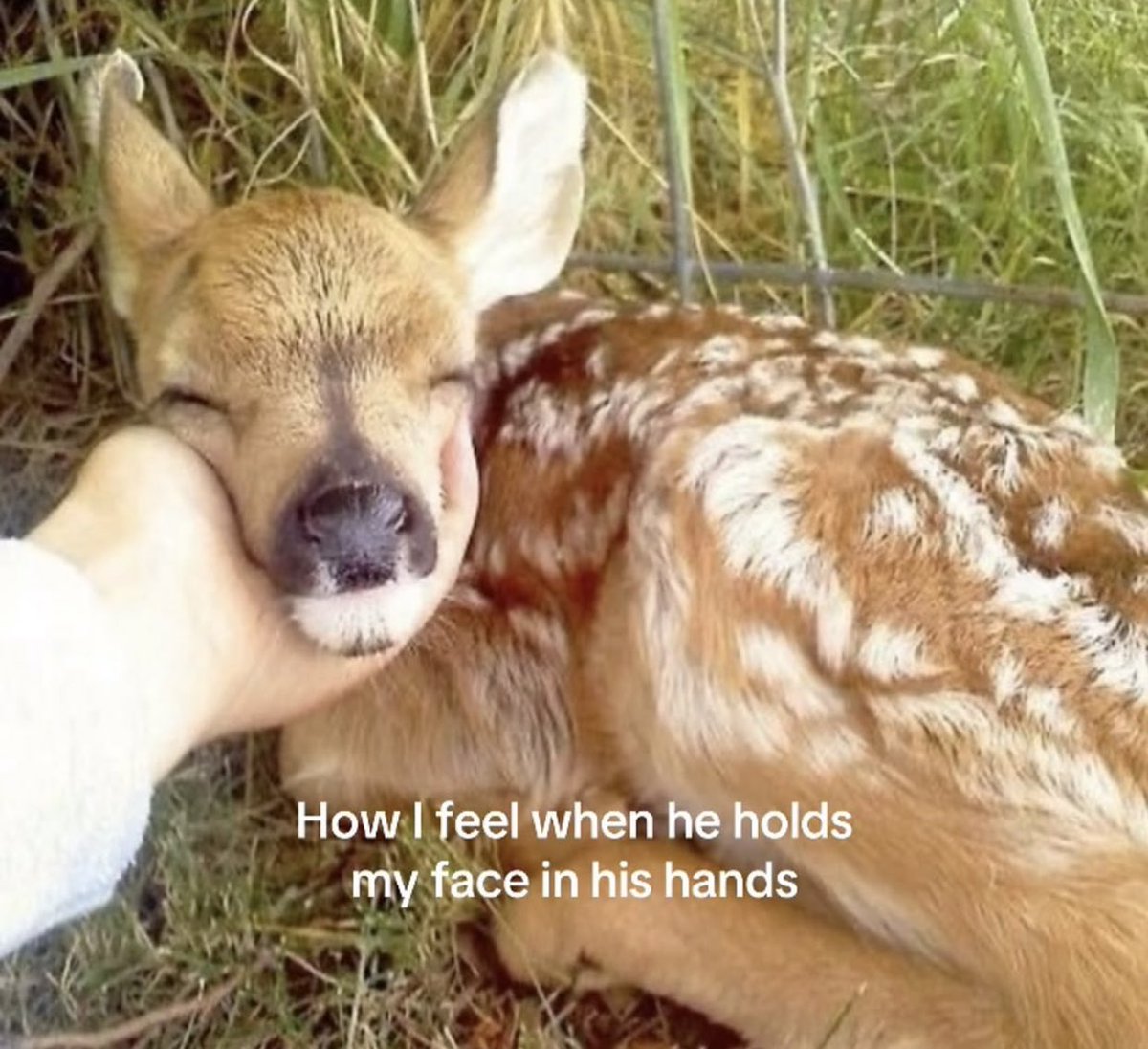 hilal (@hiilaalmis) on Twitter photo 