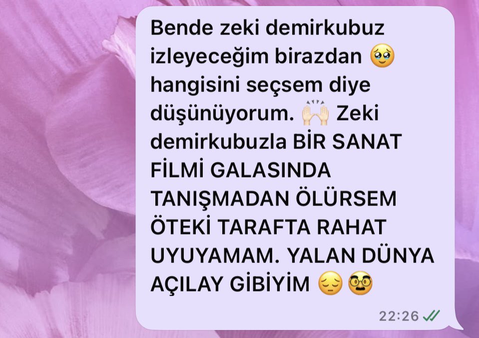 Paralel evrende Açılay ve ben yakın arkadaş olup, beş parasız, sigara dumanından nefes alınamayan bir otel odasında sabaha kadar topluma ne katacağı muallakta olan soruları soruyoruz. 😭 sabahına da kalkıp bir fotoğraf için yalvaracağımız en arka sıradan galaya gidiyoruz. 🙂‍↕️