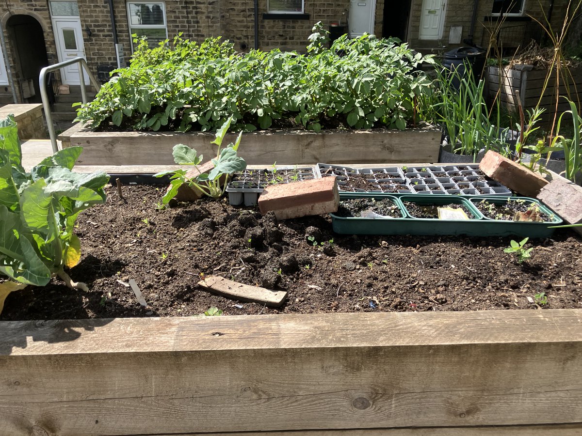 Milnsbridge Village Hall. tweet media